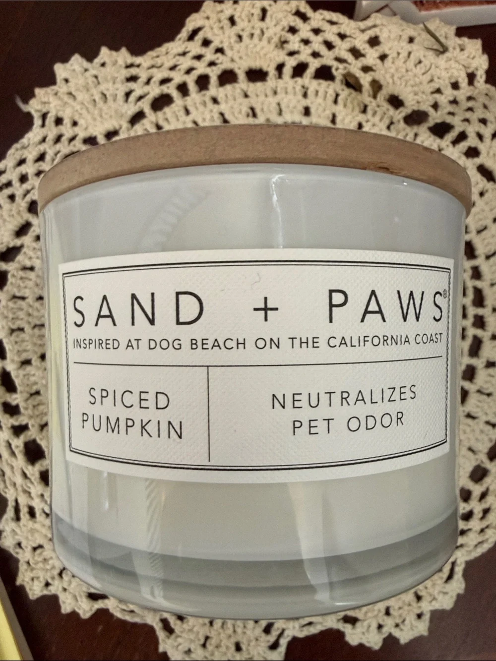Spiced Pumpkin Pet Candle - White
